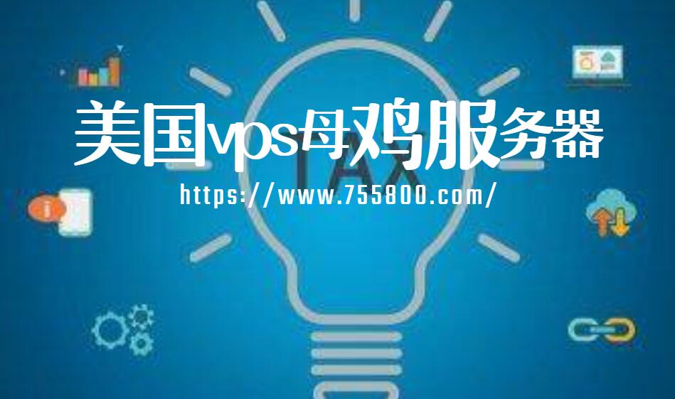 美国vps母鸡服务器