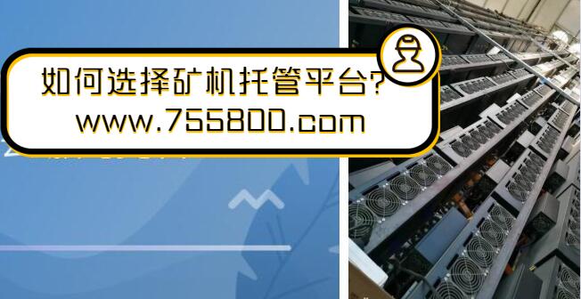为什么要选择矿机托管平台？