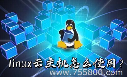 linux云主机怎么使用？