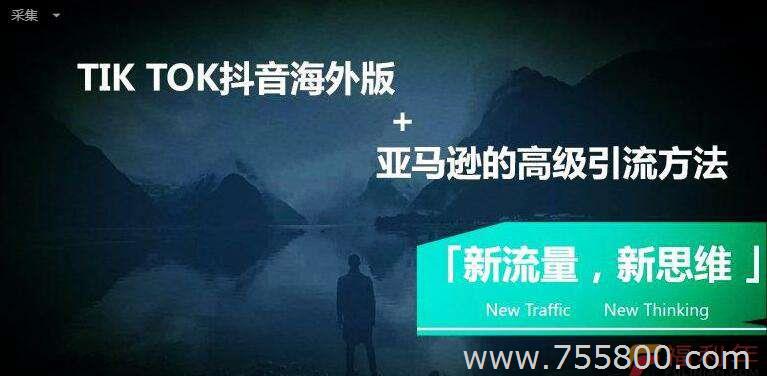 美国多ip站群vps