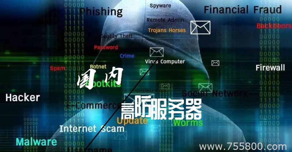国内高防服务器租用